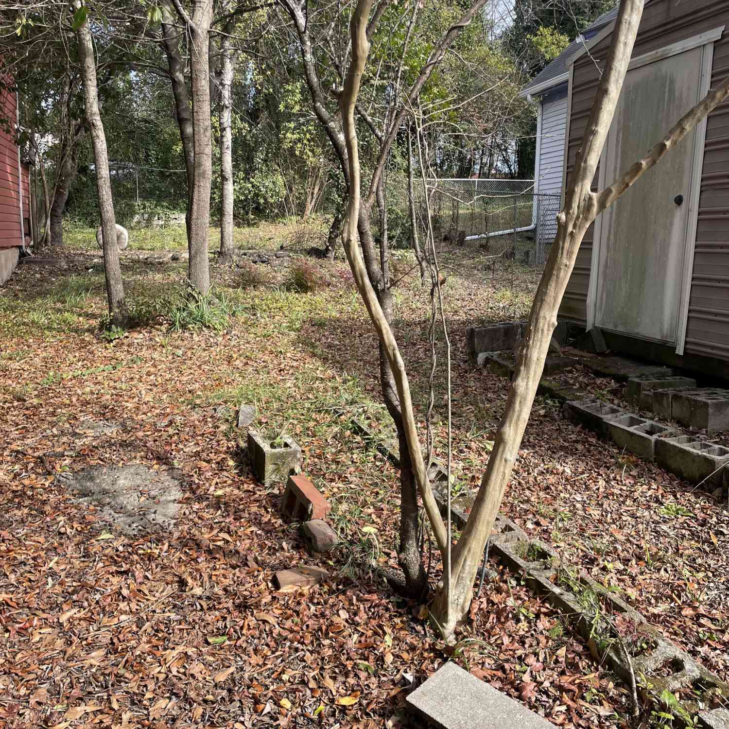 Vacant Land For Sale - 1083 Elm Street<br/> Bibb County, Macon, GA 31201