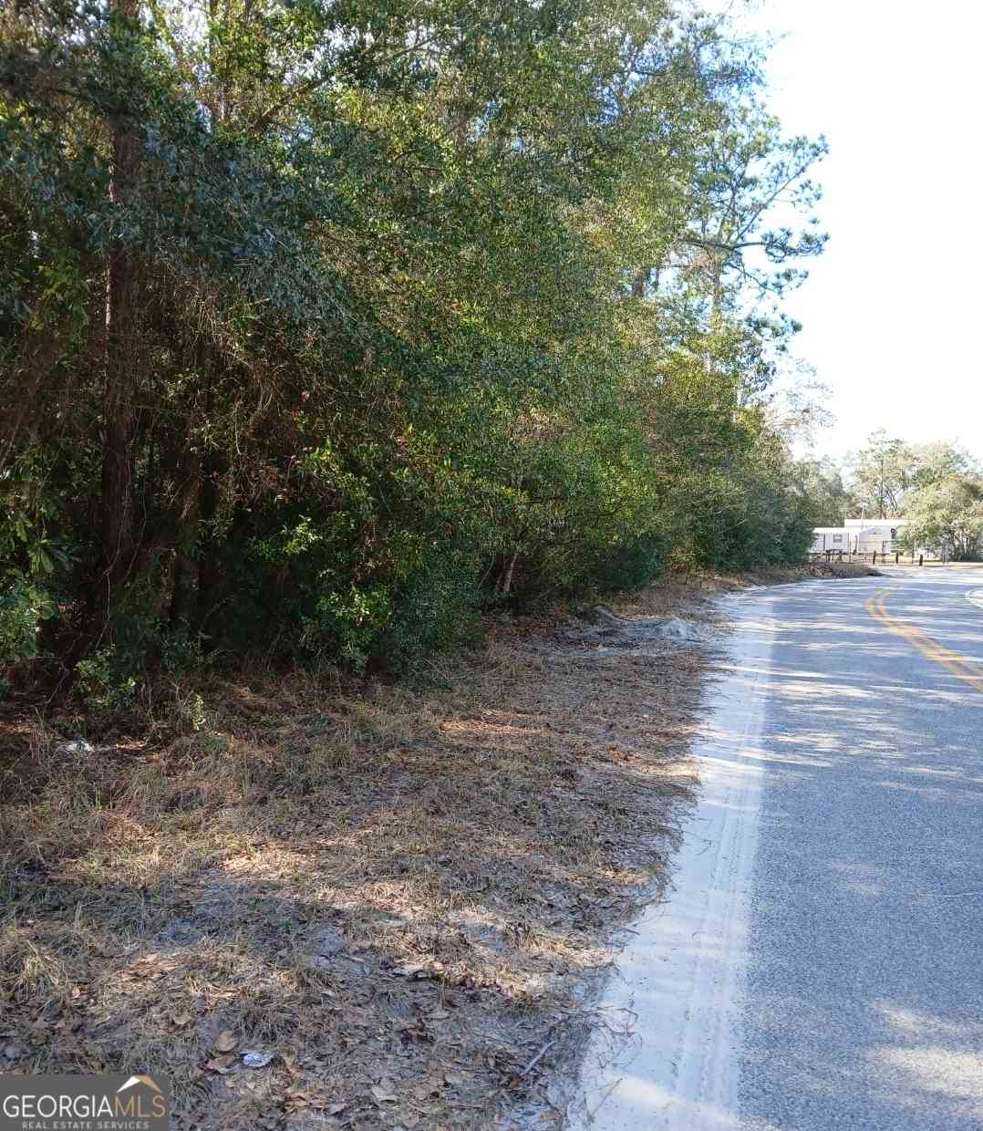 Vacant Land For Sale - 0-LOT 1 Owen Spatcher Road #LOT 1<br/> Folkston, GA 31537