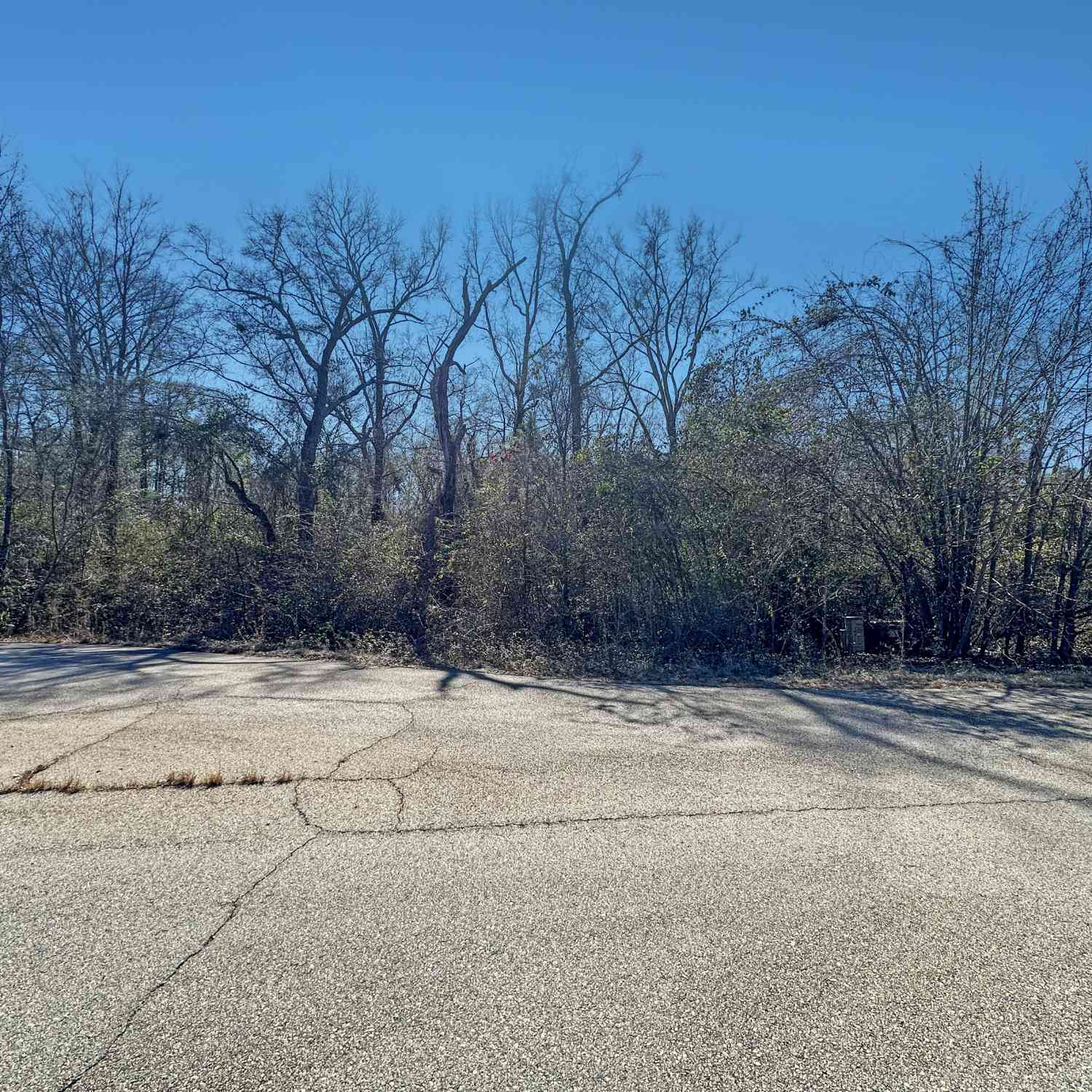 Vacant Land For Sale - 312 Hawk Court<br/> Bibb County, Macon, GA 31216