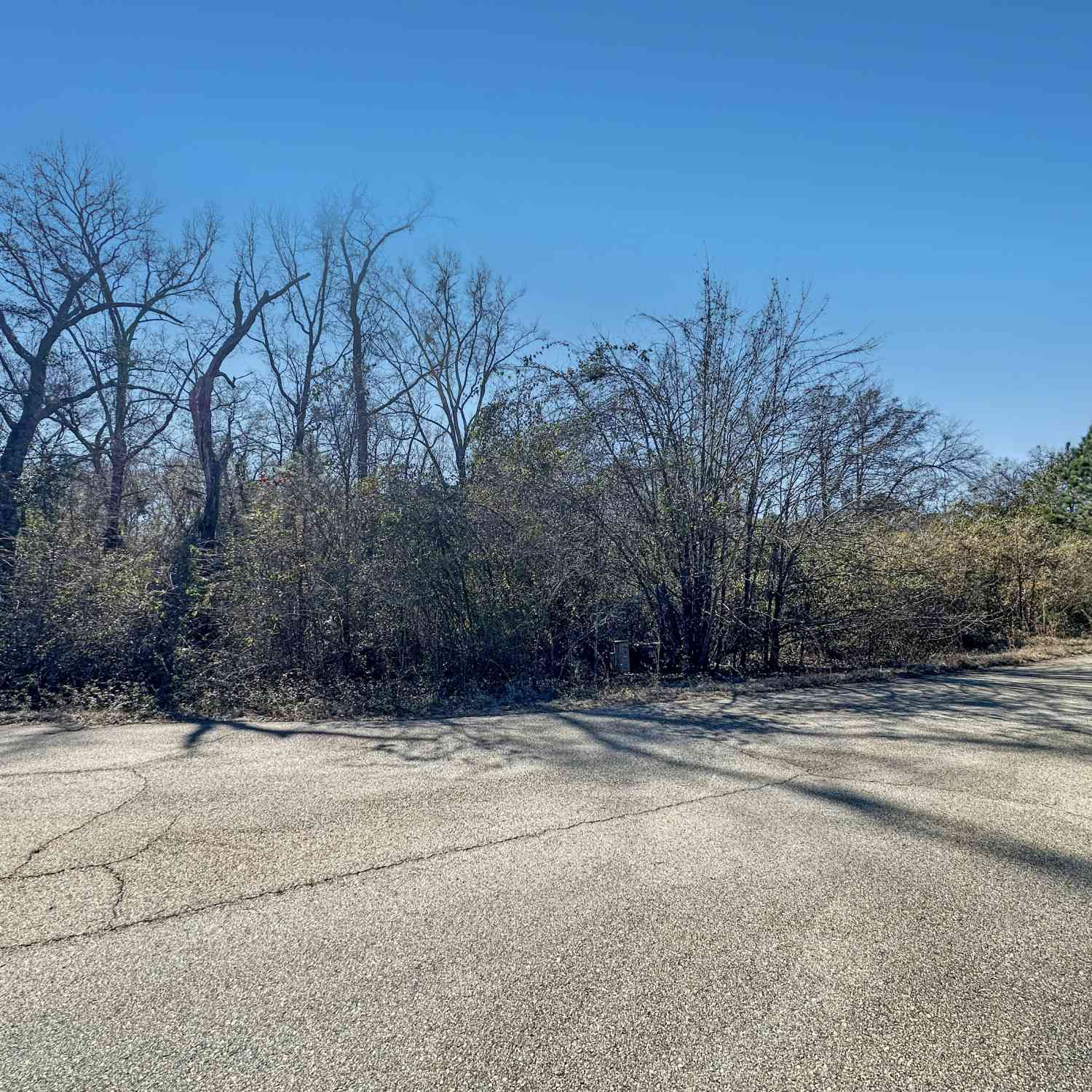 Vacant Land For Sale - 317 Hawk Court<br/> Bibb County, Macon, GA 31216