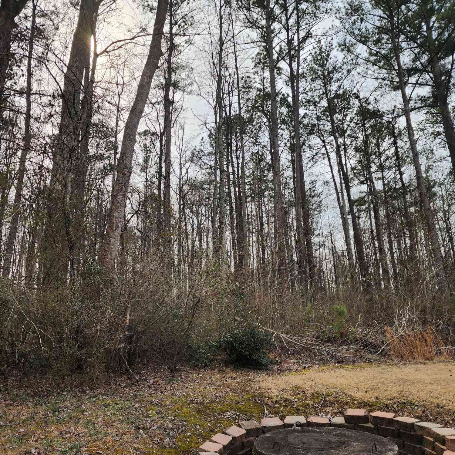 Vacant Land For Sale - 5624 Browns Mill Road<br/> Lithonia, GA 30038