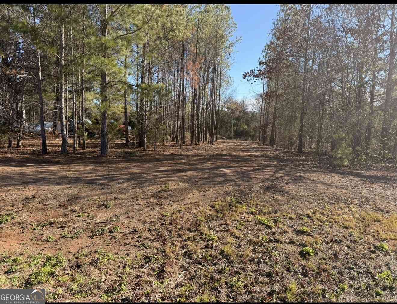 Vacant Land For Sale - 297 Amanda Drive<br/> Bibb County, Macon, GA 31216