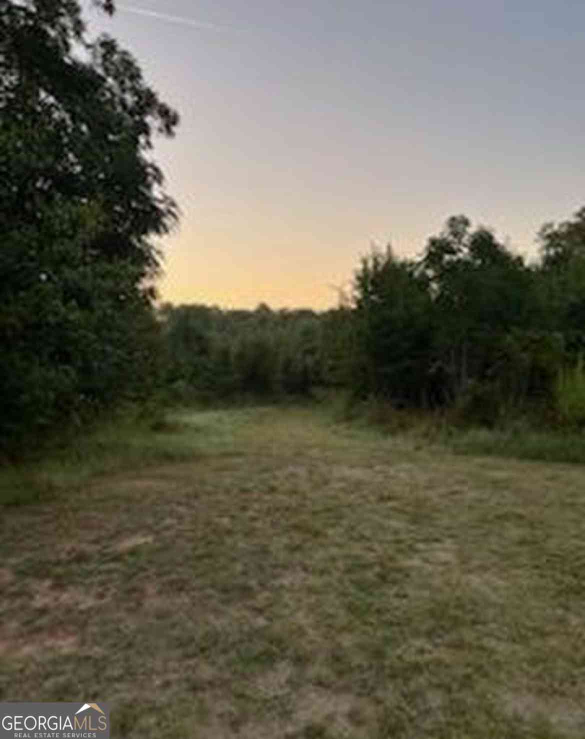 Vacant Land For Sale - 600 Hillview Road #TRACT 3<br/> Hampton, GA 30228