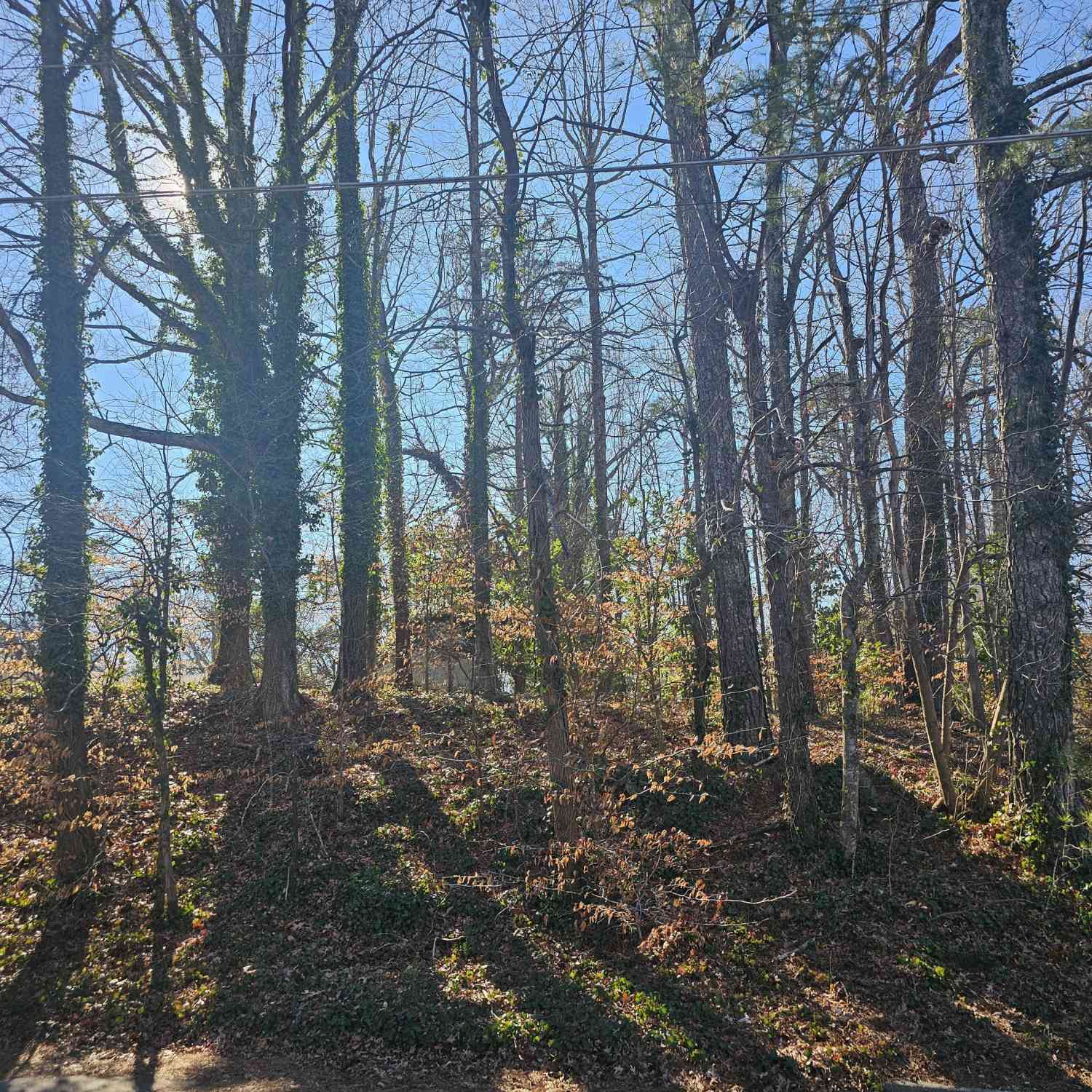 Vacant Land For Sale - Sahara Drive SW<br/> Atlanta, GA 30331