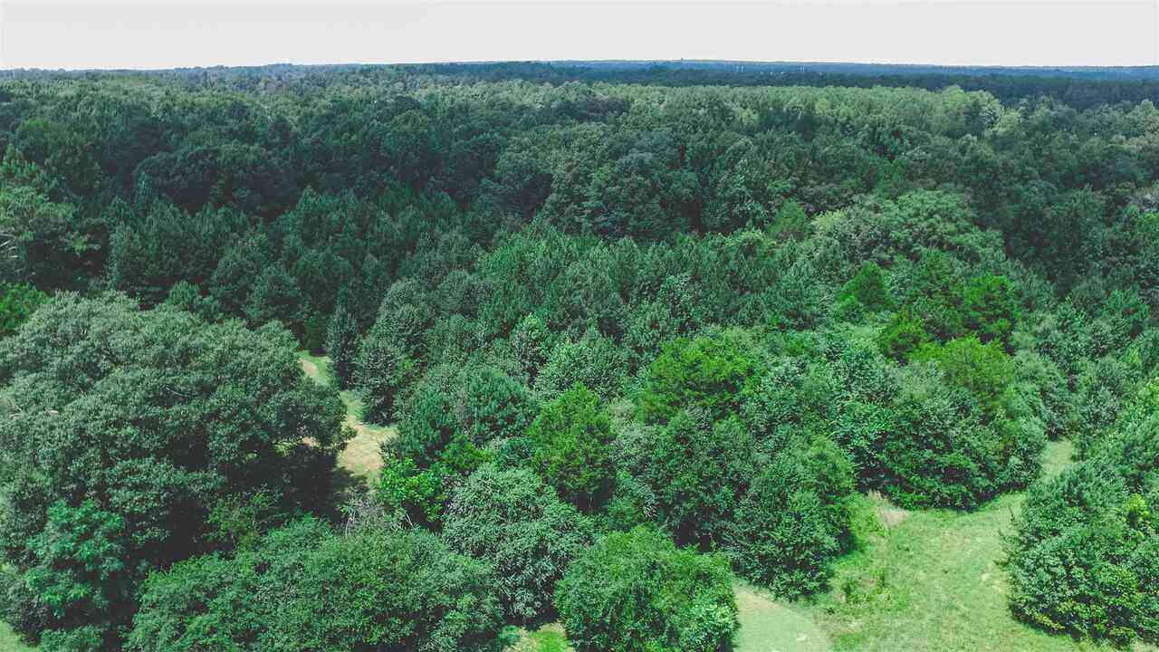 Vacant Land For Sale - 856 S Hampton<br/> Hampton, GA 30228
