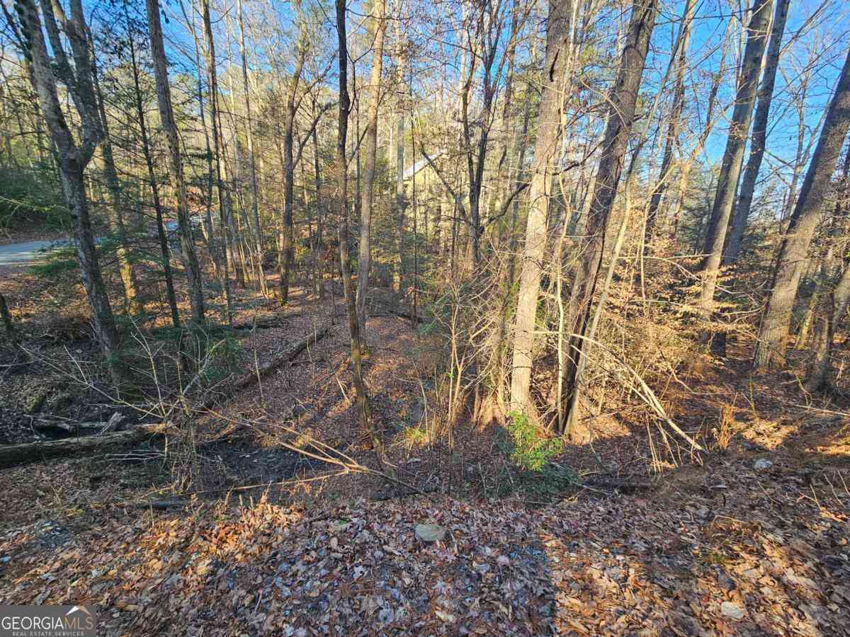 Vacant Land For Sale - LT 1620 Nexus Drive<br/> Ellijay, GA 30540