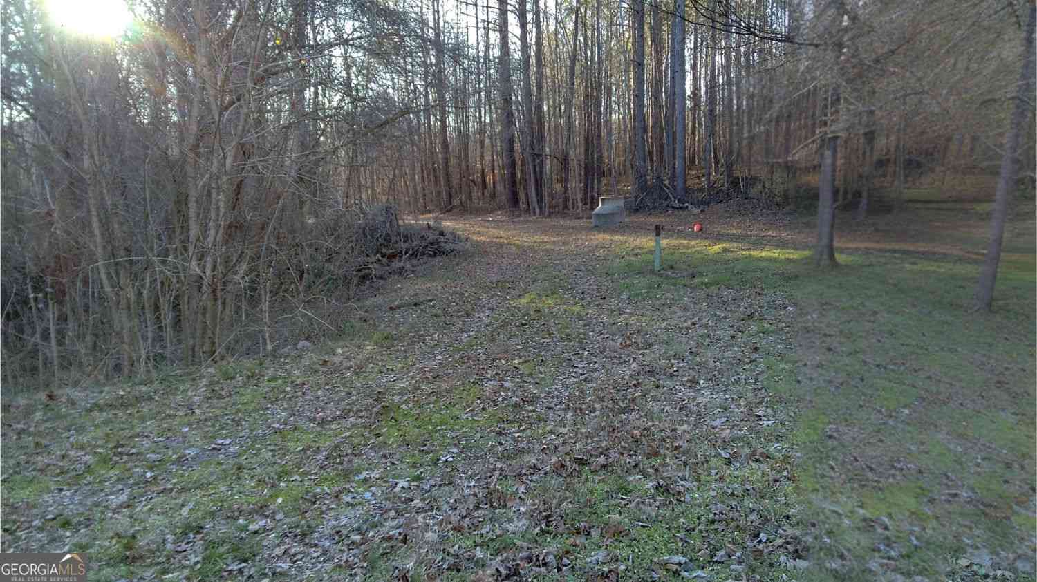 Vacant Land For Sale - Collier Street SW<br/> Covington, GA 30014