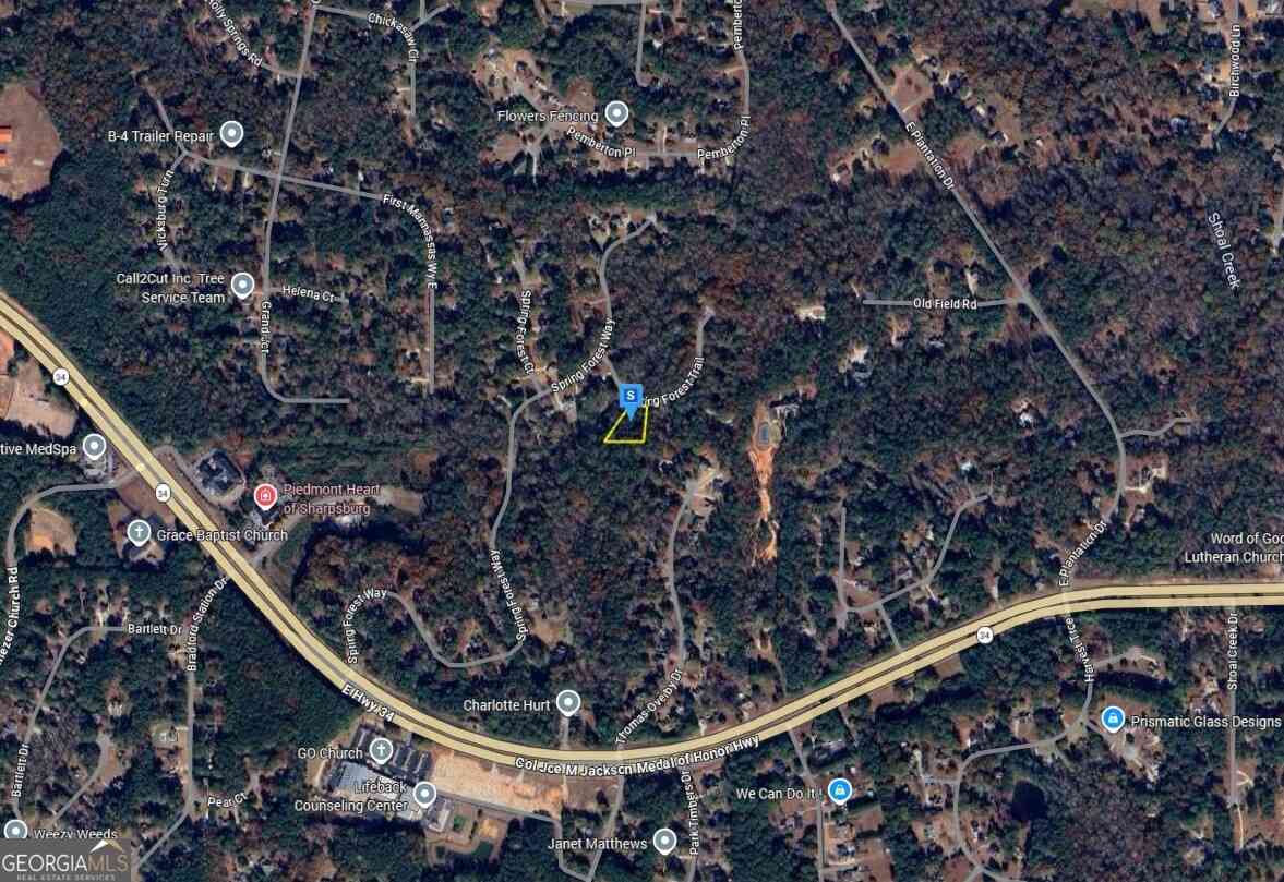 Vacant Land For Sale - 49 Spring Forest Trail<br/> Sharpsburg, GA 30277