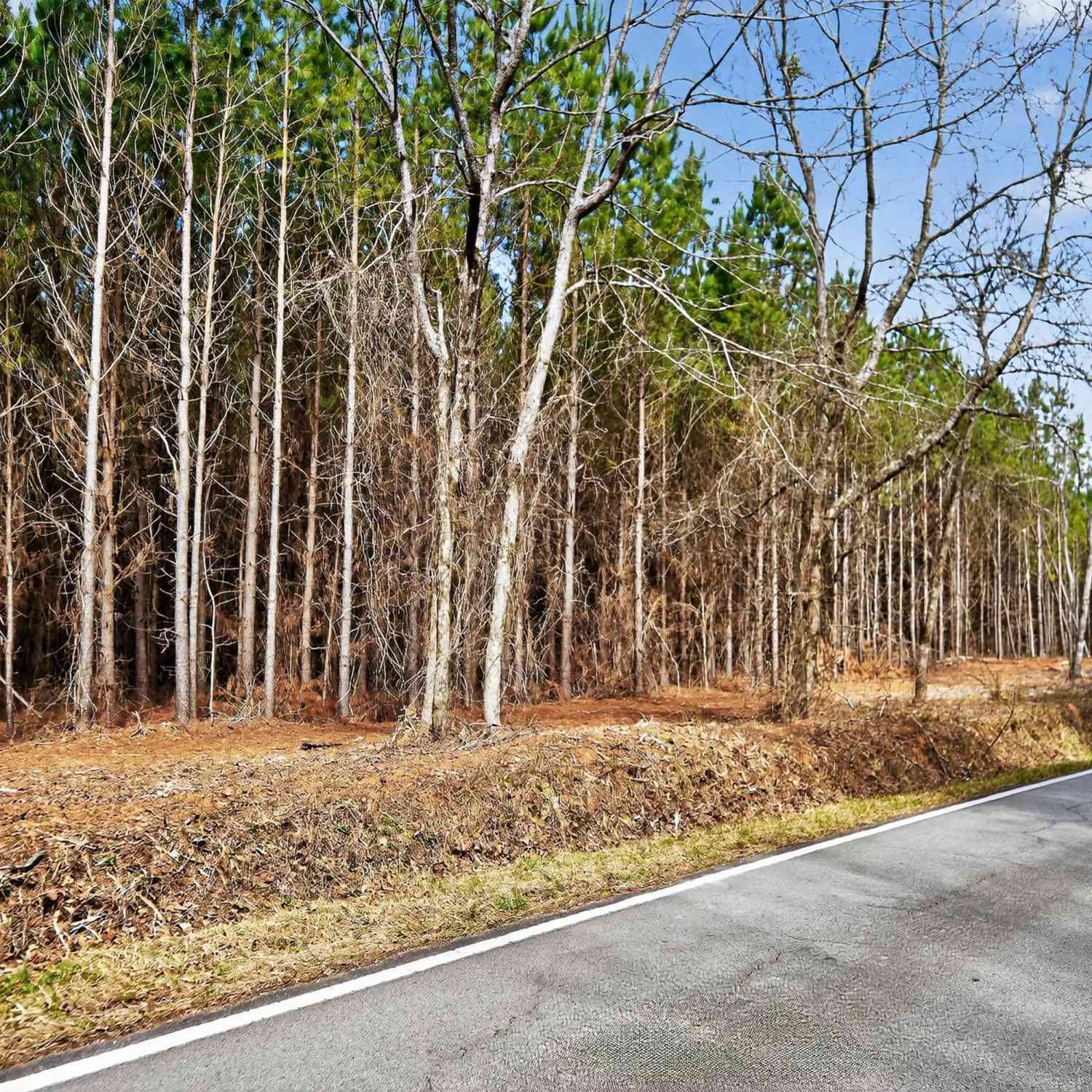 Vacant Land For Sale - LOTS 1/2/3 Lower Harmony Road<br/> Eatonton, GA 31024