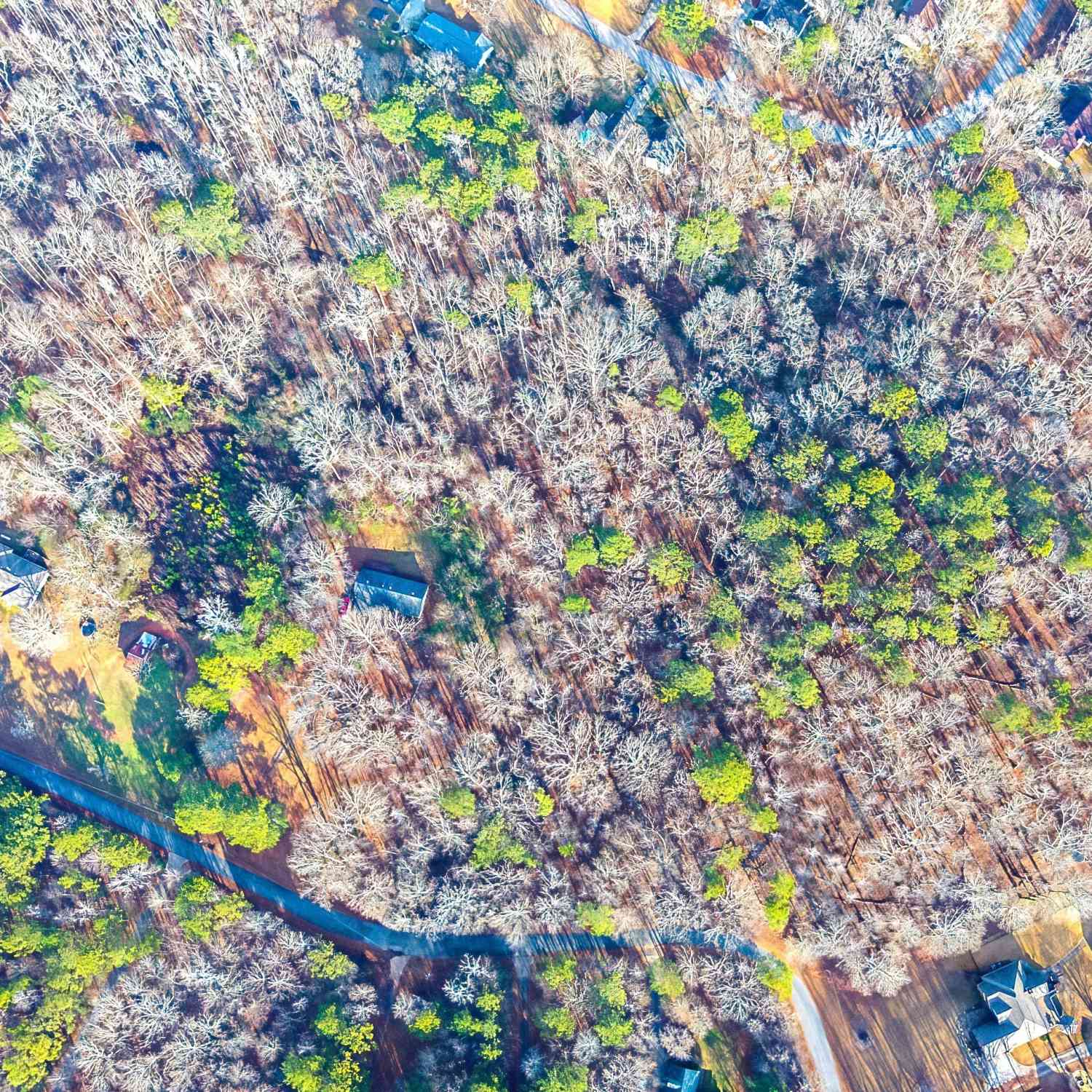 Vacant Land For Sale - 195 Cedar Road<br/> Covington, GA 30016