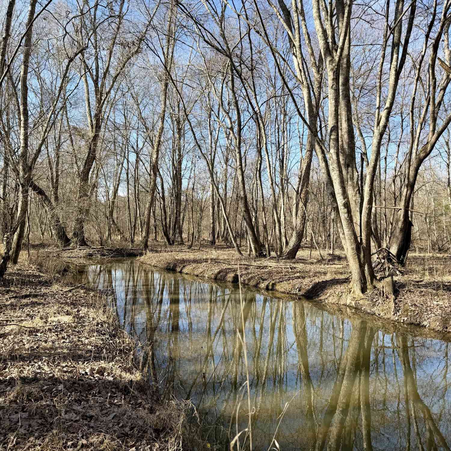 Vacant Land For Sale - Neely Road<br/> Sharpsburg, GA 30277