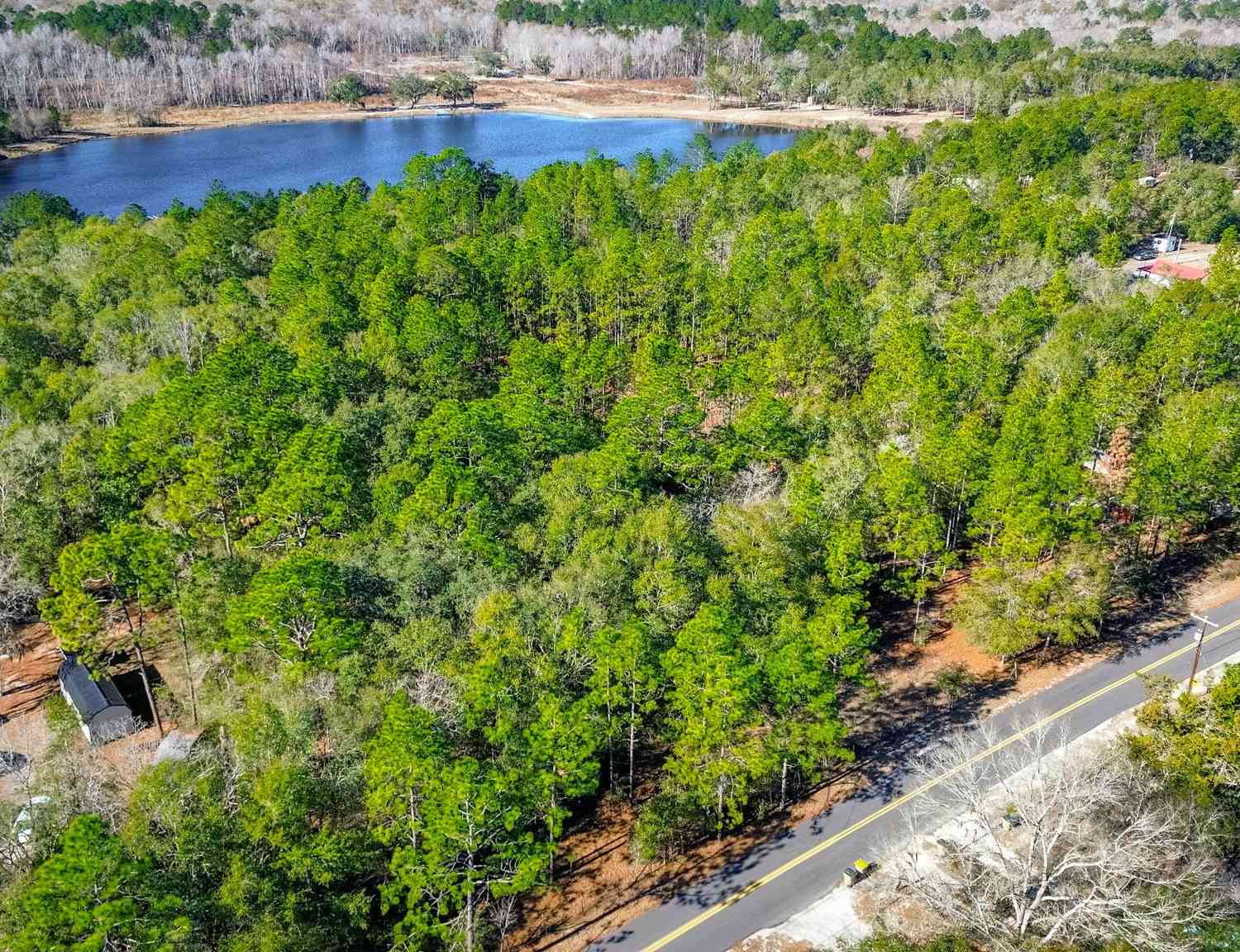 Vacant Land For Sale - 164 Holly Drive<br/> Effingham County, Eden, GA 31307