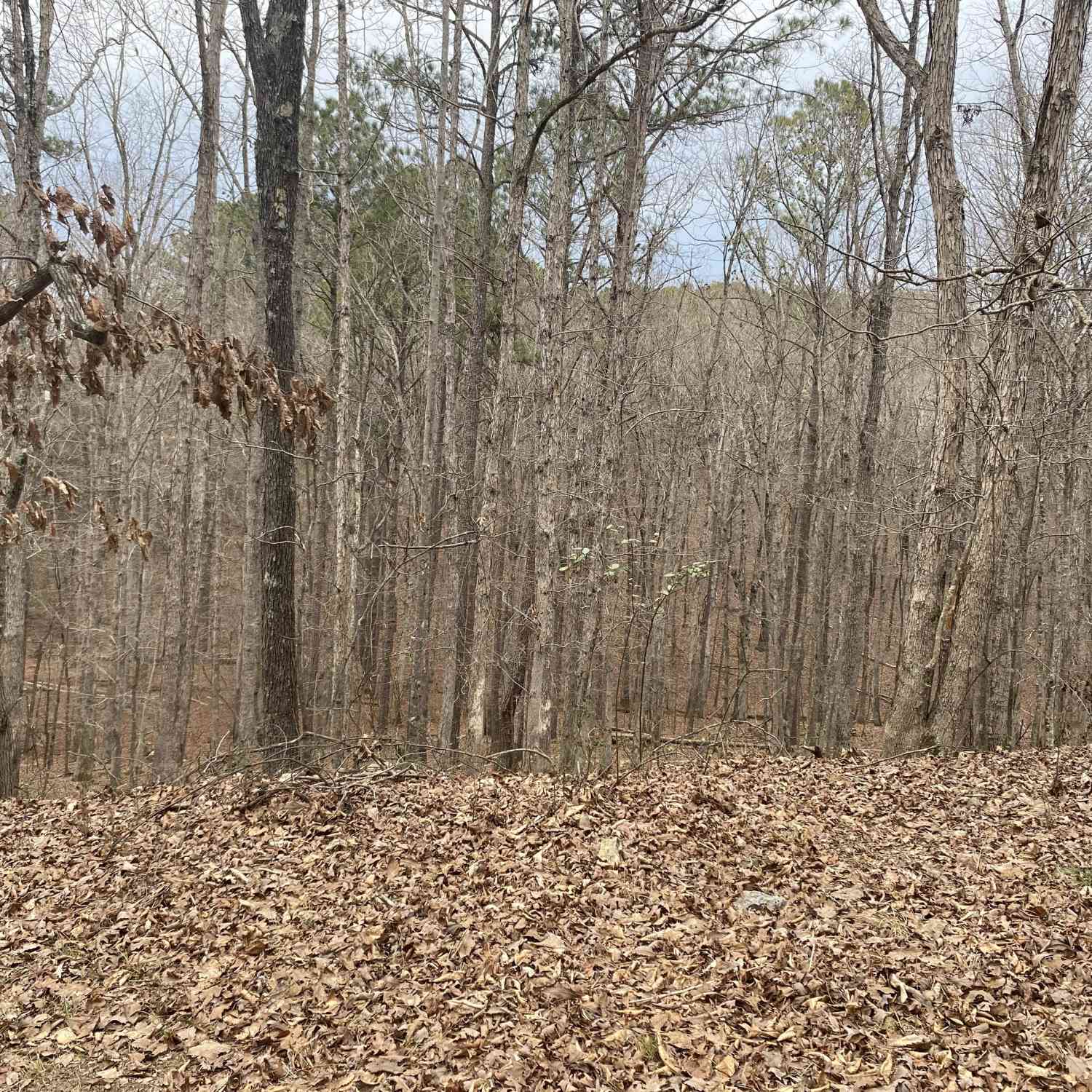 Vacant Land For Sale - Warwick Way<br/> Rome, GA 30161