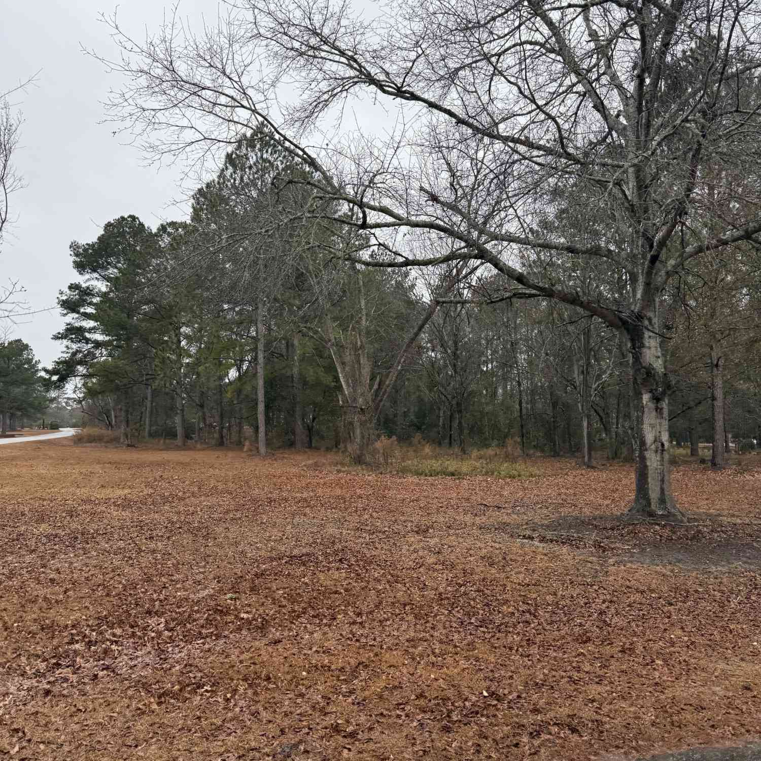 Vacant Land For Sale - LOT 10 Laurel Oak Drive<br/> Statesboro, GA 30461