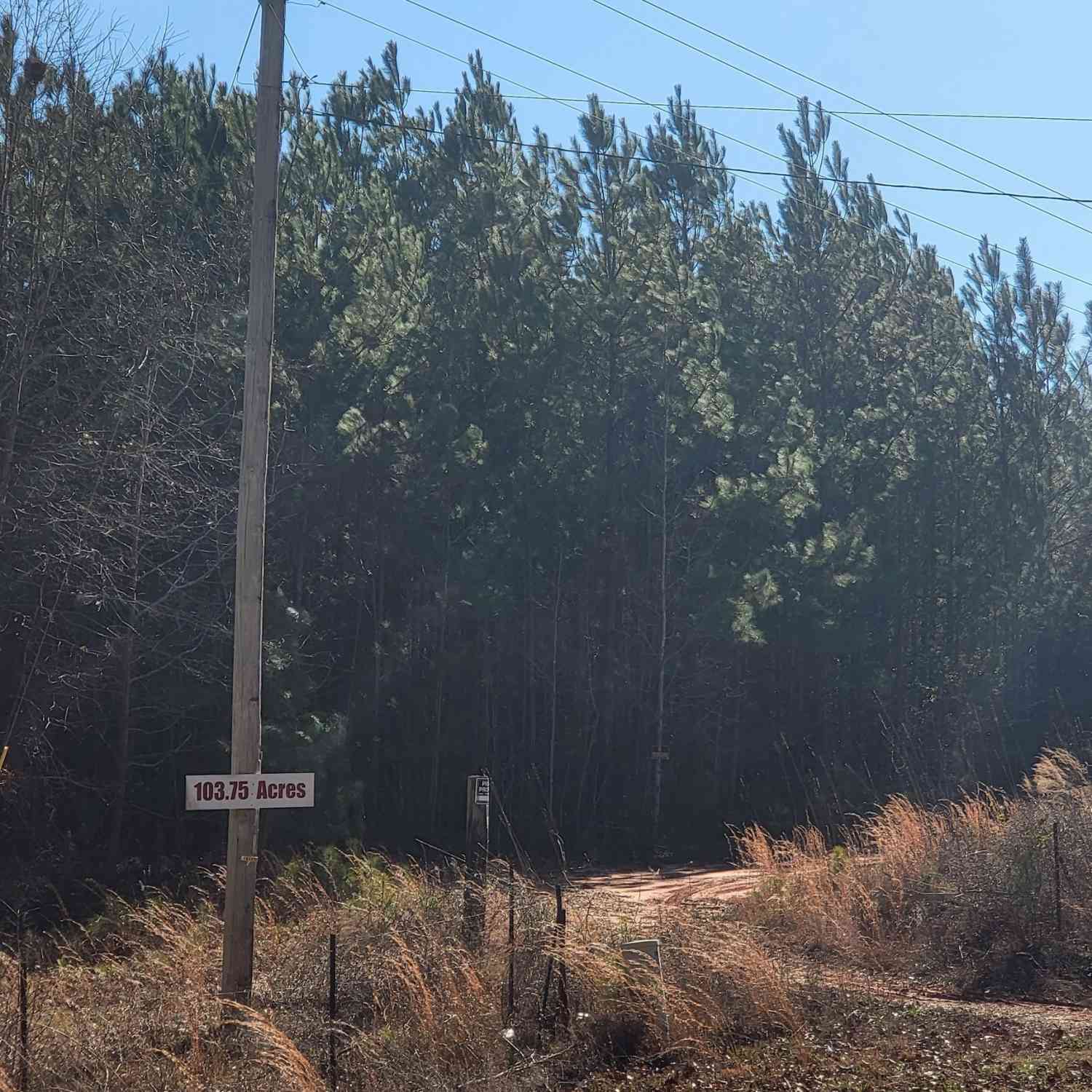 Vacant Land For Sale - Rocky Point Road<br/> Covington, GA 30014