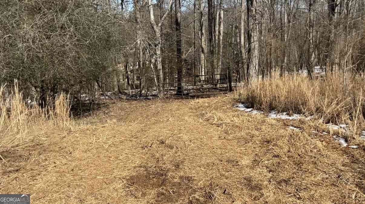 Vacant Land For Sale - Bailey Mill Road<br/> Gainesville, GA 30506
