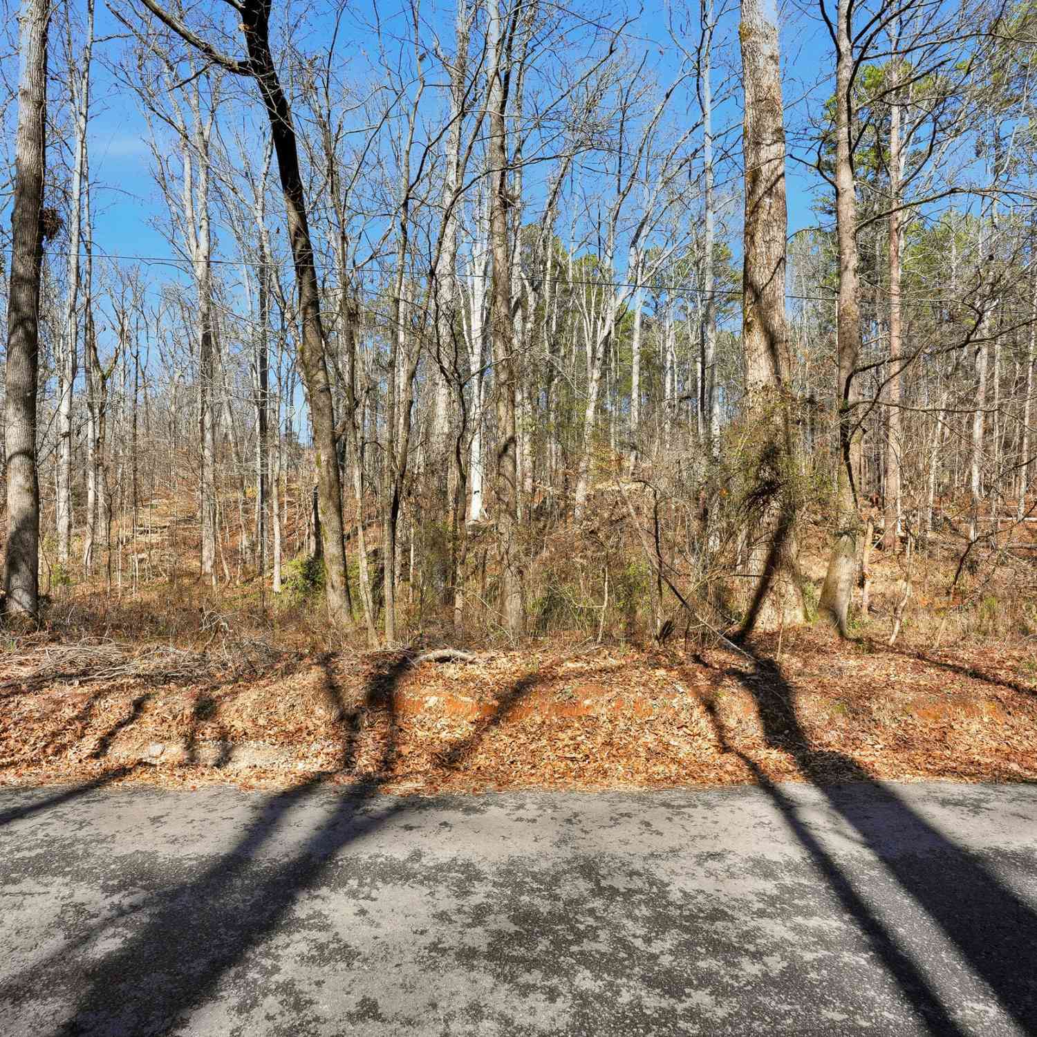 Vacant Land For Sale - Pickett Bridge Road<br/> Covington, GA 30016