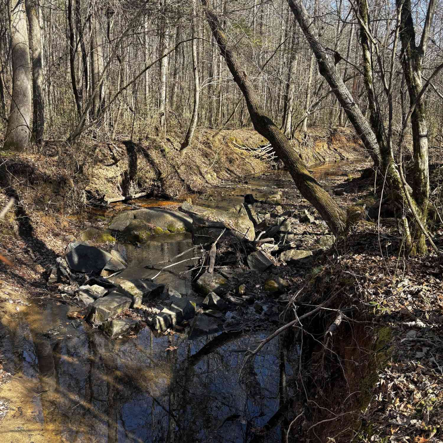 Vacant Land For Sale - Thaxton Road<br/> Wilkes County, Rayle, GA 30660