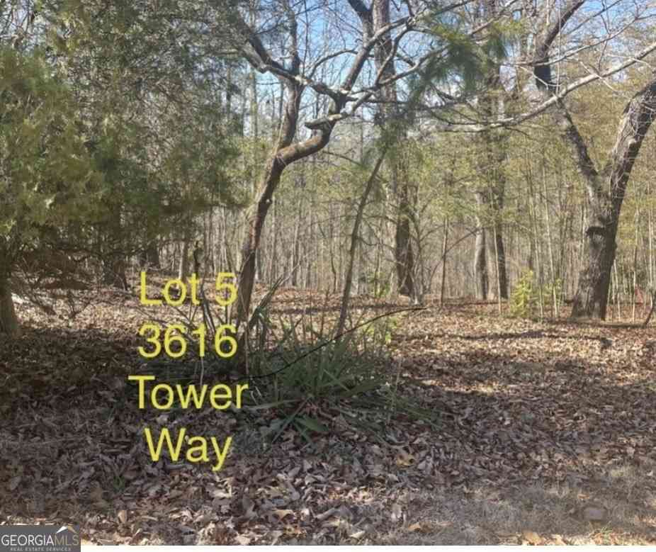 Vacant Land For Sale - 3616 Tower Way<br/> Gainesville, GA 30501