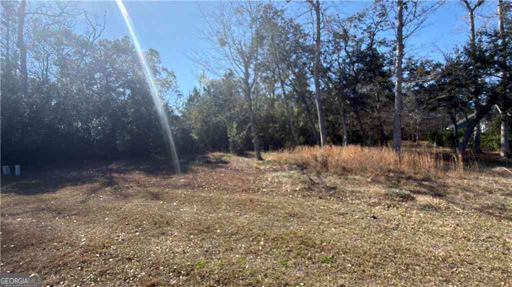 Vacant Land For Sale - Maiden Creek Drive #LOT 34<br/> Waverly, GA 31565