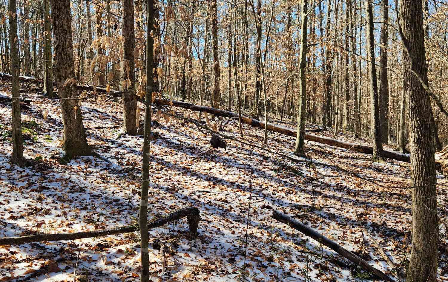 Vacant Land For Sale - 5500 Brookton Lula Road<br/> Gainesville, GA 30506