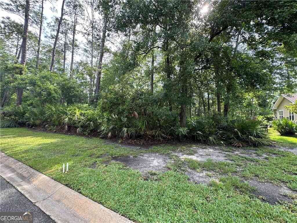 Vacant Land For Sale - LOT 23-D Black Tern Way<br/> Waverly, GA 31565