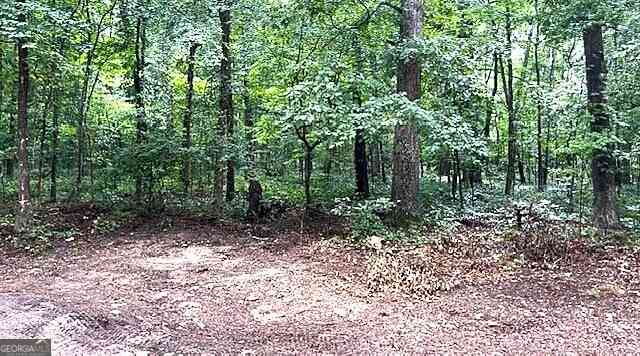 Vacant Land For Sale - 3871 Martin Drive<br/> Dekalb County, Ellenwood, GA 30294