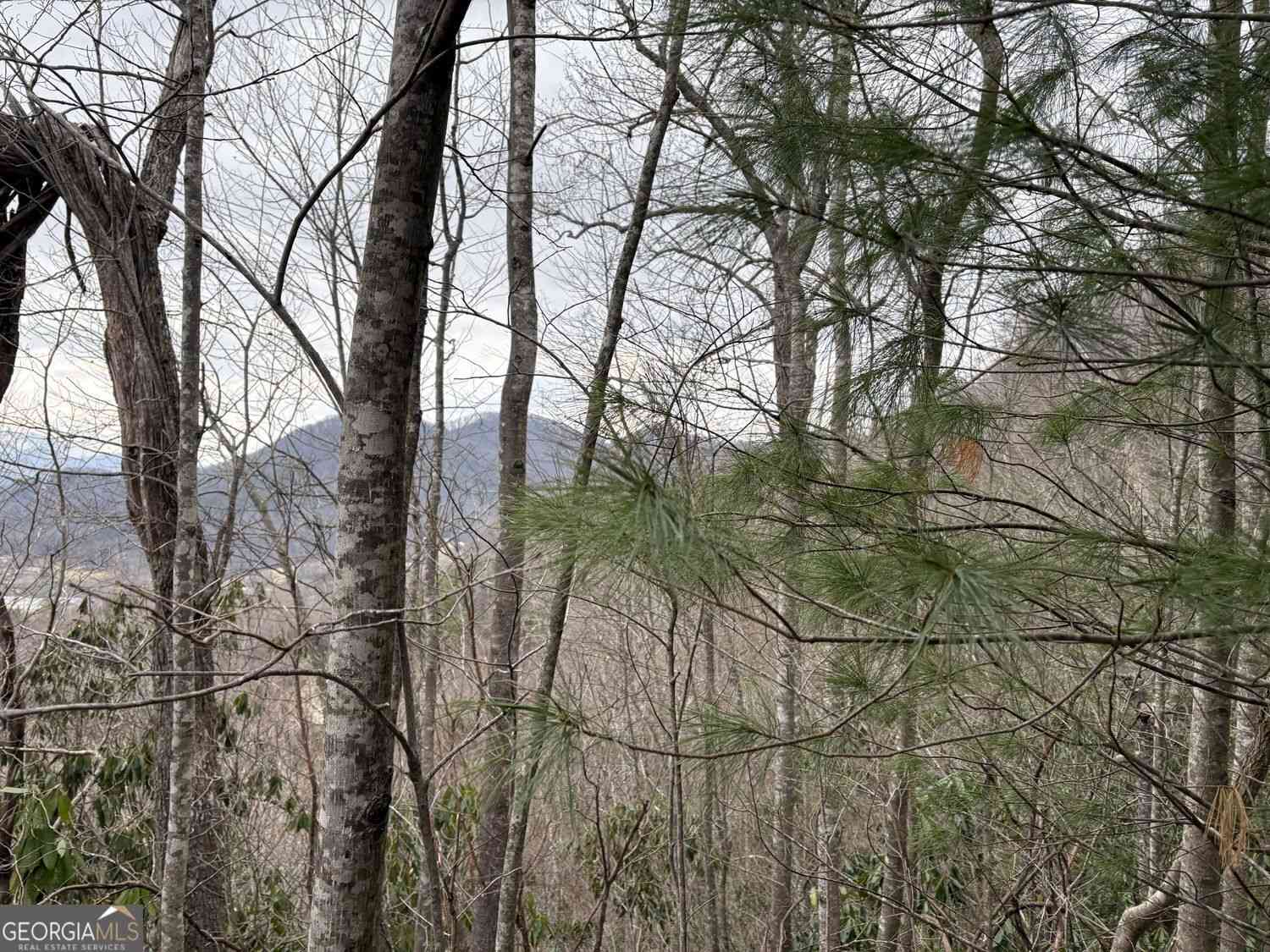 Vacant Land For Sale - Colchester Lane<br/> Mountain City, GA 30525