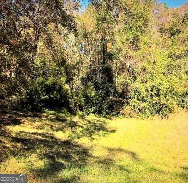 Vacant Land For Sale - Brookwood Circle<br/> Elberton, GA 30635