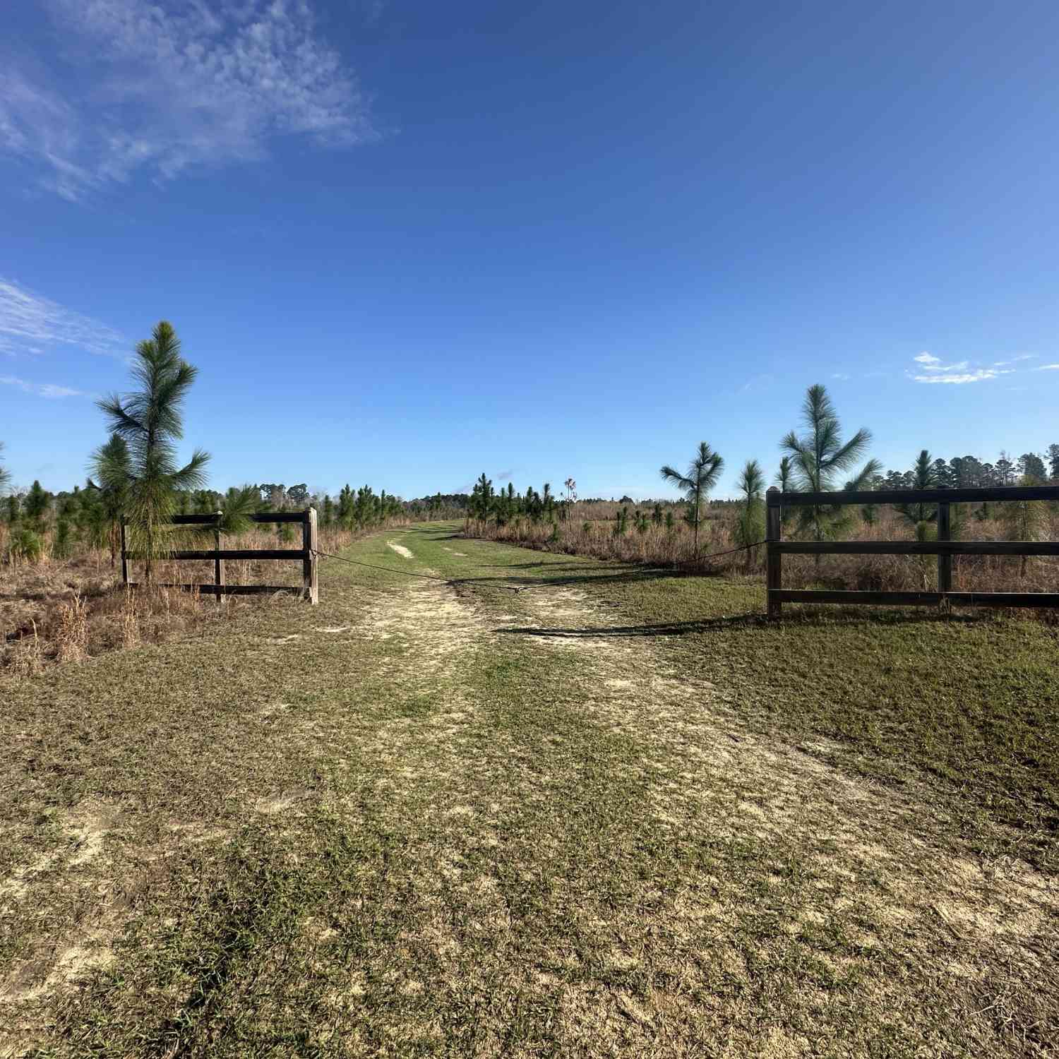 Vacant Land For Sale - 1334 Shady Lane<br/> Sylvania, GA 30467