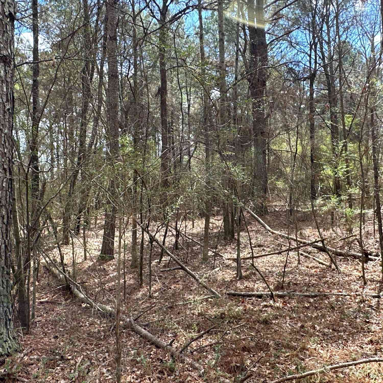 Vacant Land For Sale - Popham Road #TRACT 3<br/> Taylorsville, GA 30178