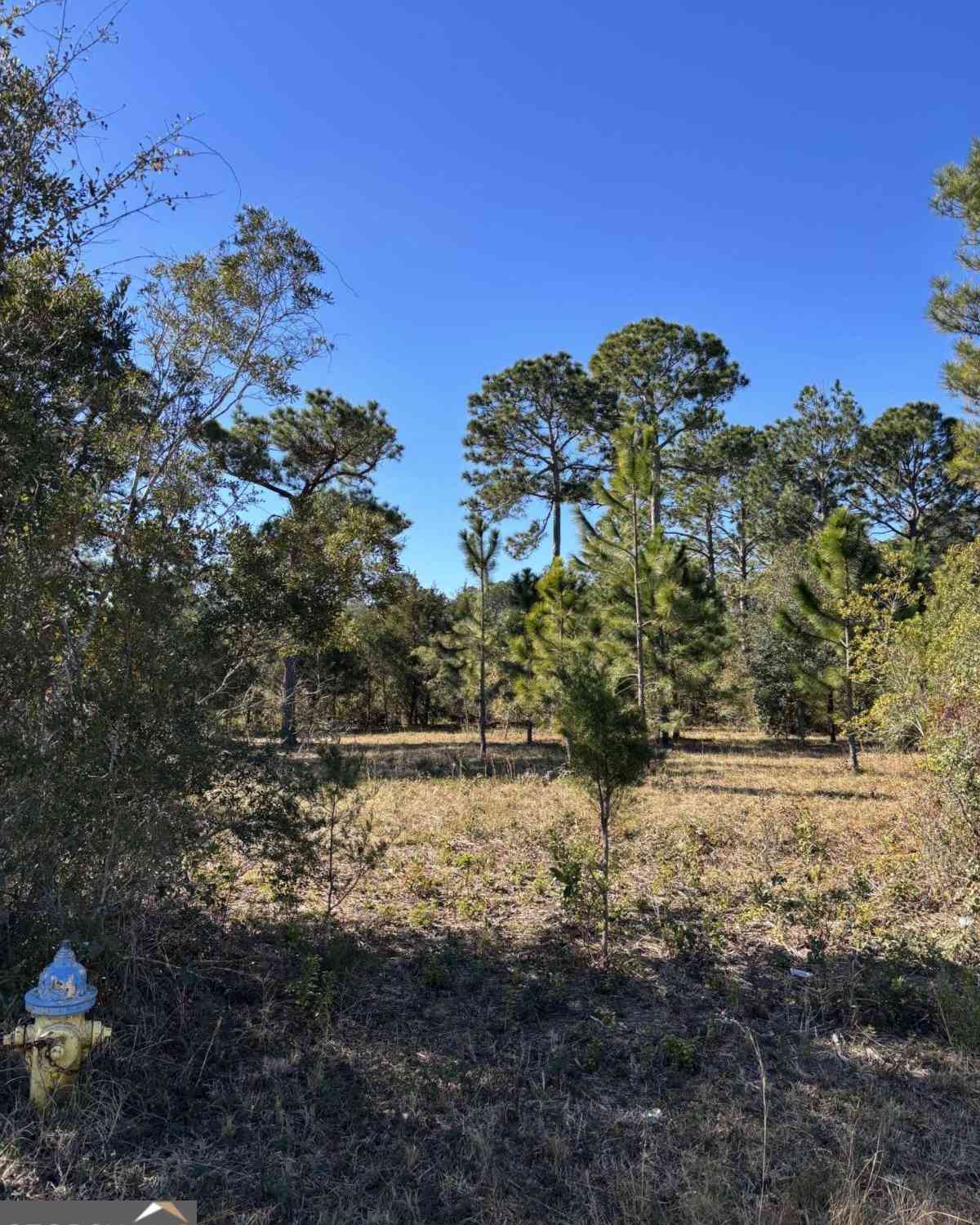 Vacant Land For Sale - 128 Dufour Road<br/> Saint Marys, GA 31558