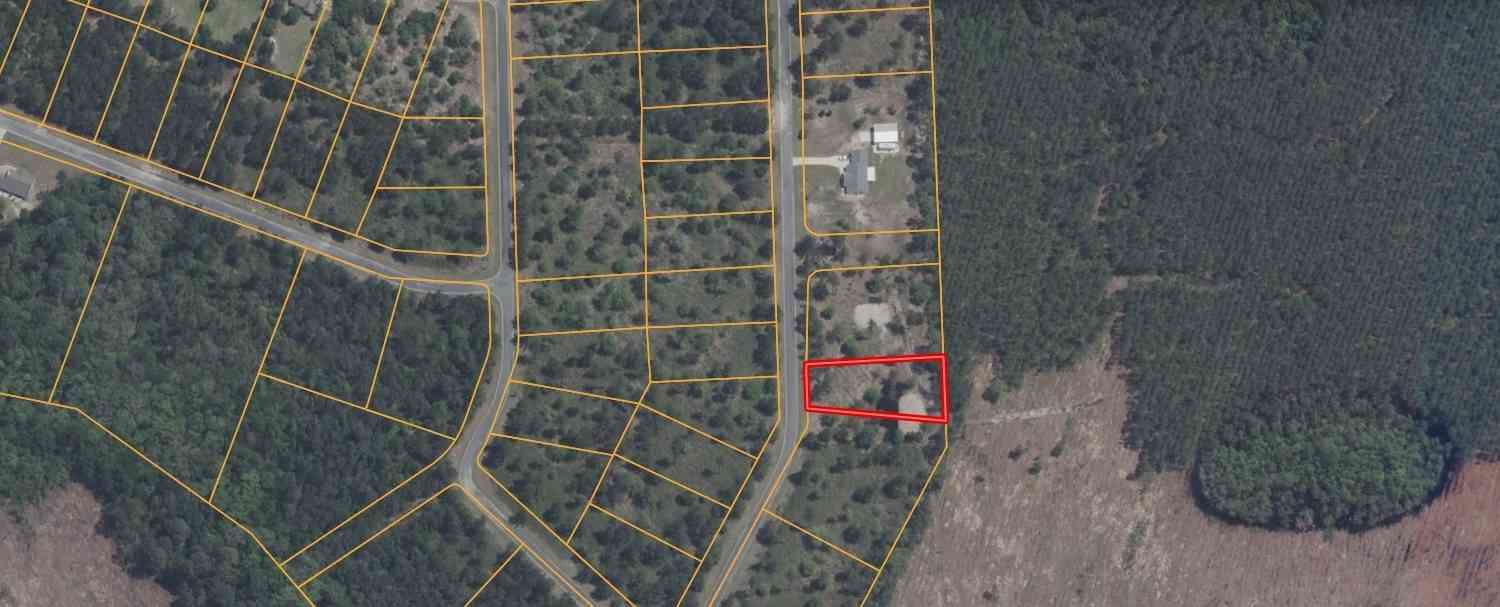 Vacant Land For Sale - Big Horse Drive #83<br/> Waynesville, GA 31566