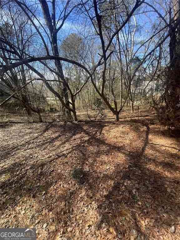 Vacant Land For Sale - 4675 Riveredge Cove<br/> Snellville, GA 30039