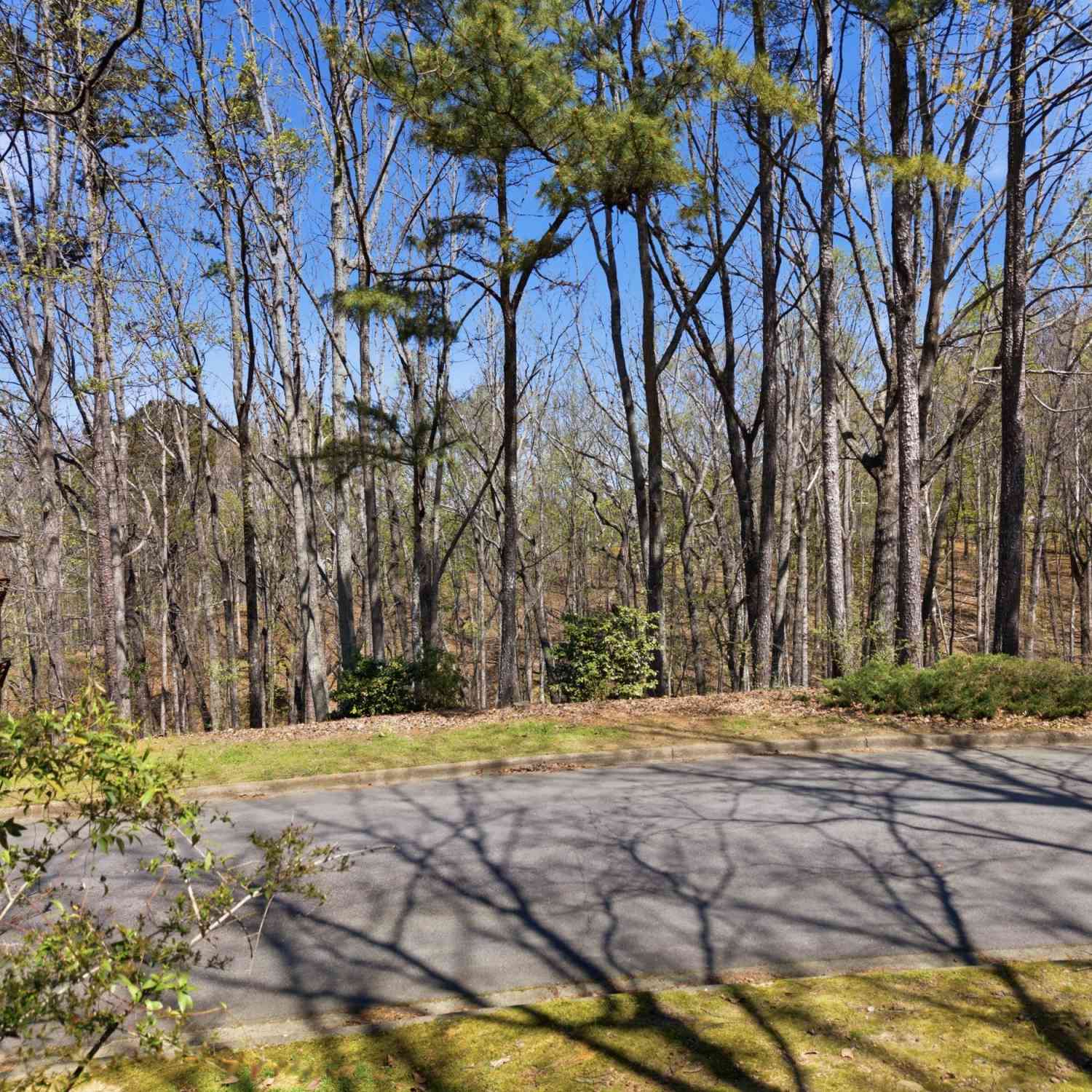 Vacant Land For Sale - 335 N Peak Drive<br/> Johns Creek, GA 30022
