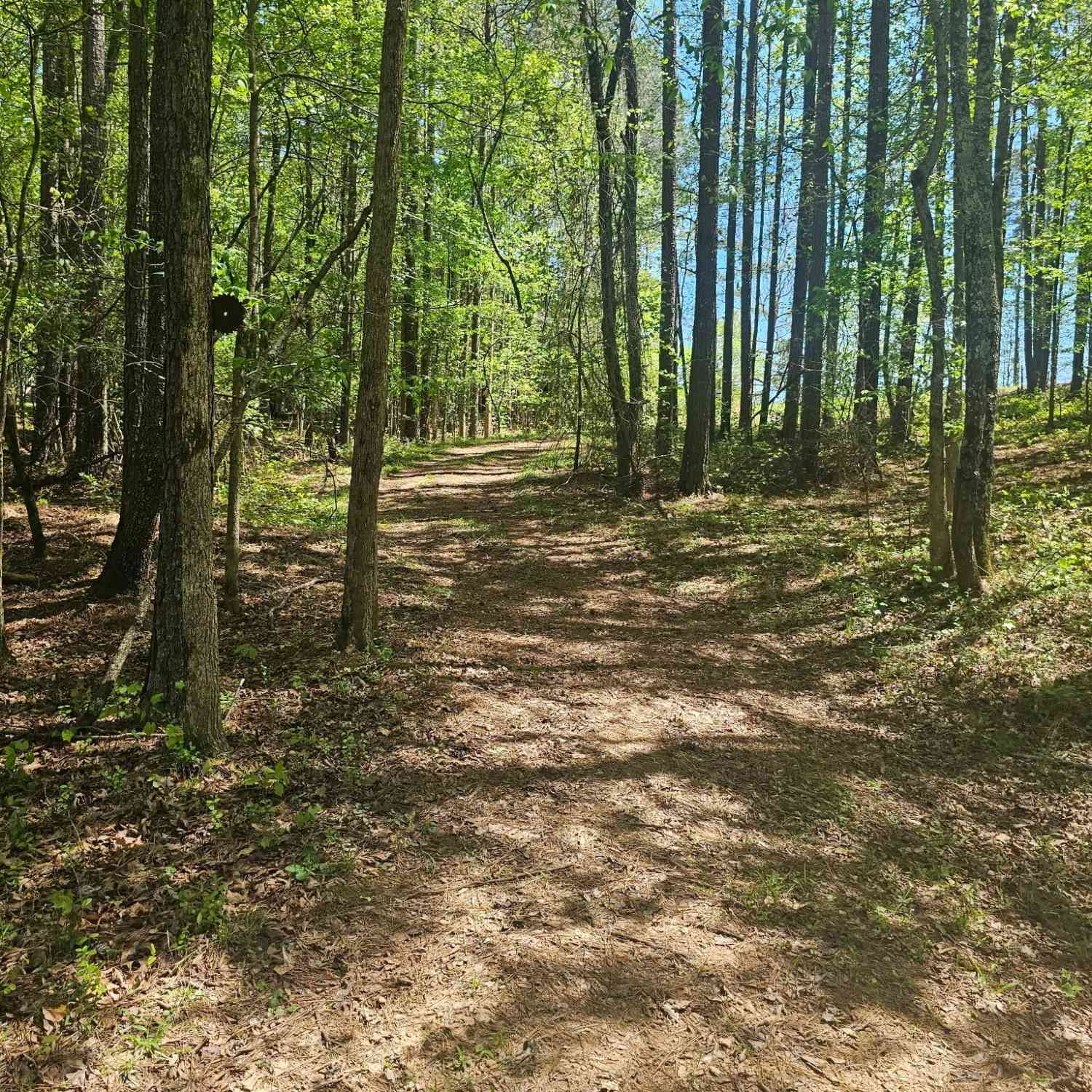 Vacant Land For Sale - 1041 Pintail Lane<br/> Madison, GA 30650