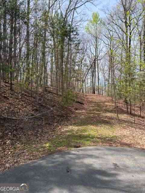 Vacant Land For Sale - Brumby Run #8<br/> Blairsville, GA 30512