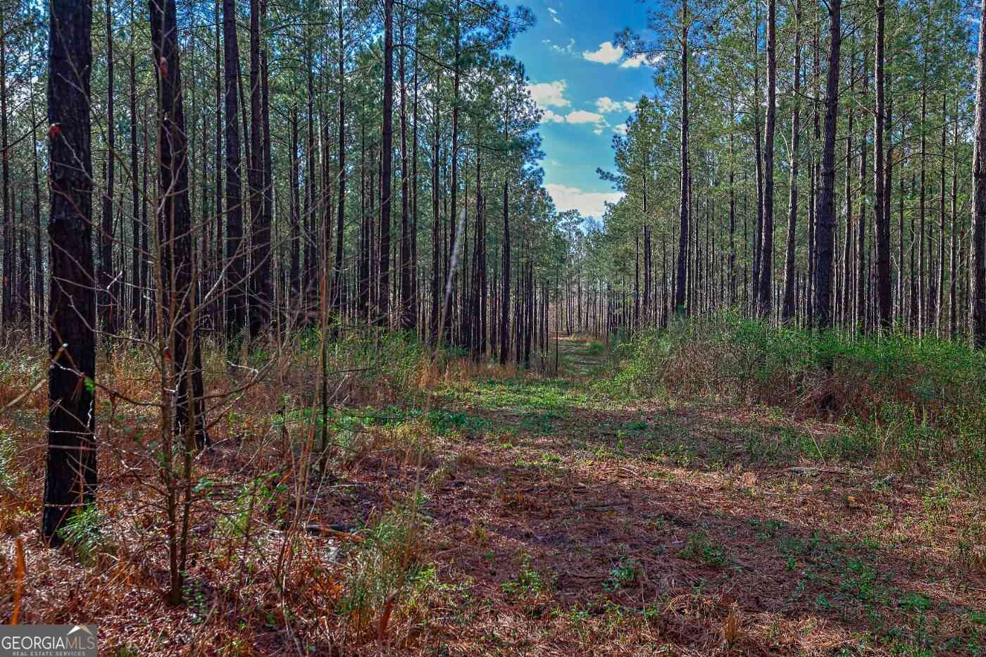 Vacant Land For Sale - Highway 22 Highway N<br/> Sparta, GA 31087