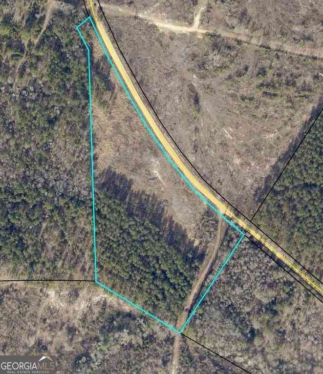 Vacant Land For Sale - Old Dellwood Road<br/> Emanuel County, Swainsboro, GA 30401