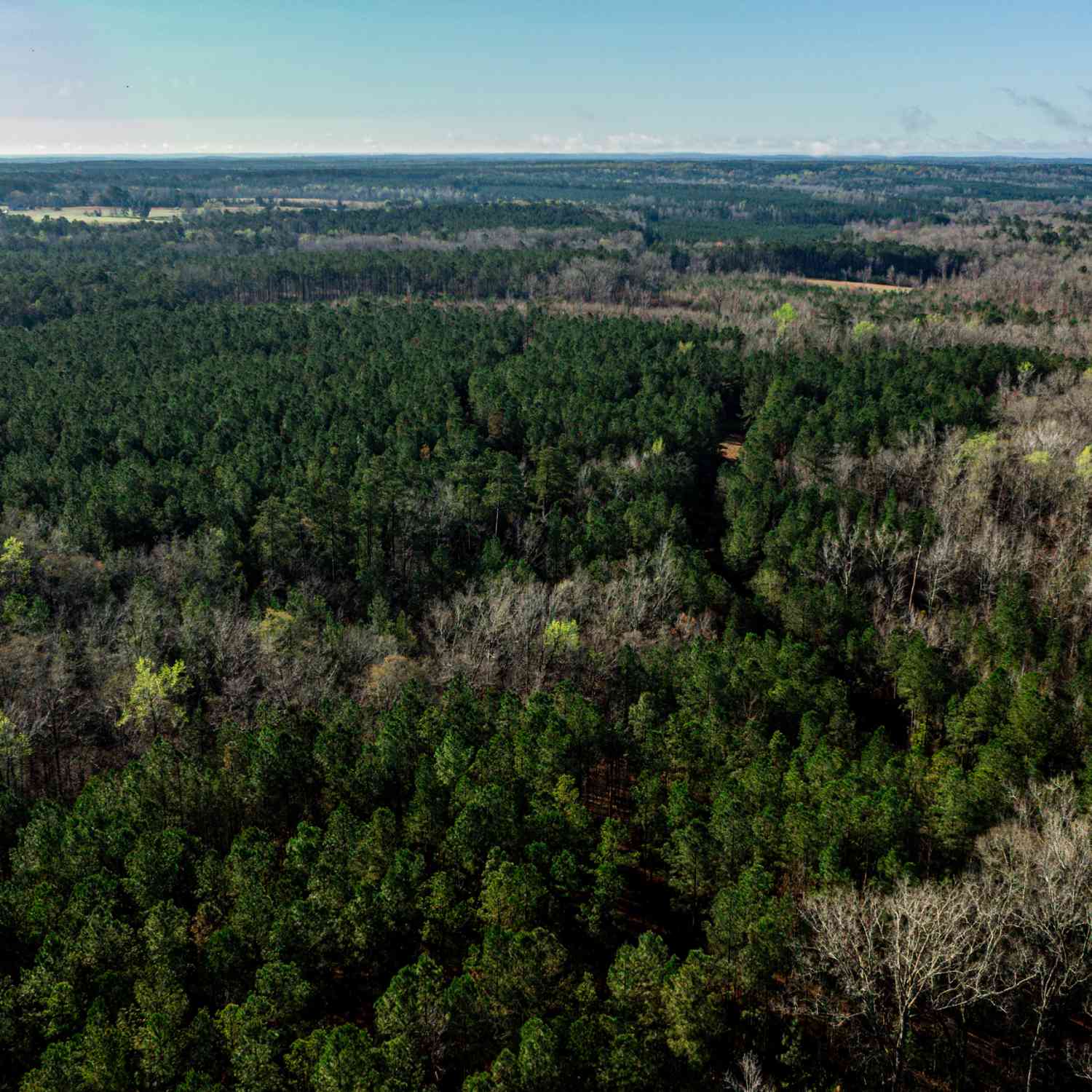 Vacant Land For Sale - Island Creek Road<br/> Hancock County, Sparta, GA 31087