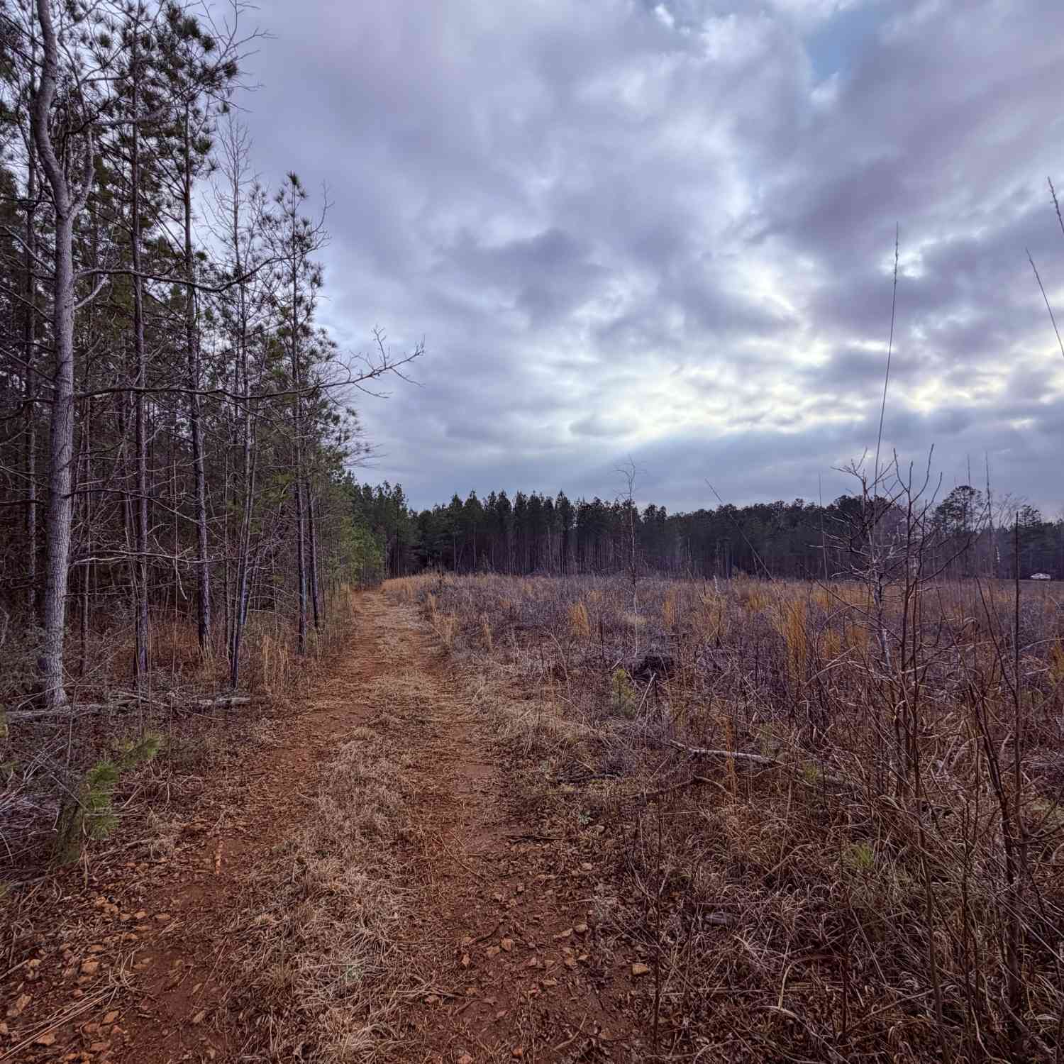 Vacant Land For Sale - Carr Station Road<br/> Hancock County, Sparta, GA 31087