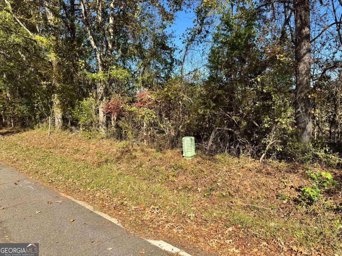 Vacant Land For Sale - Taylor Road #TRACT 12<br/> Lexington, GA 30648