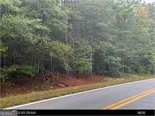 Vacant Land For Sale - Springfield Road<br/> Sparta, GA 31087