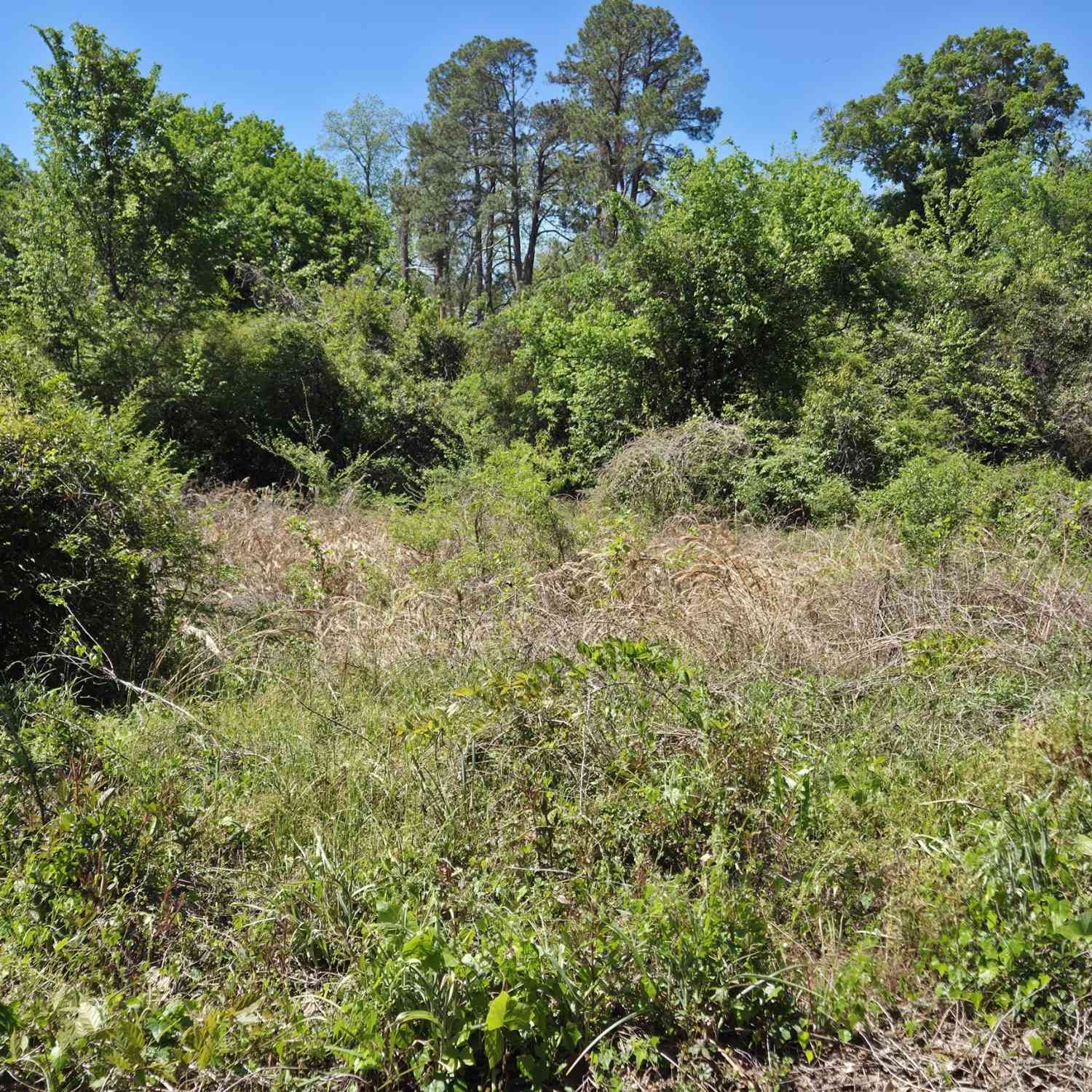 Vacant Land For Sale - 2150 Sycamore Street<br/> Bibb County, Macon, GA 31204