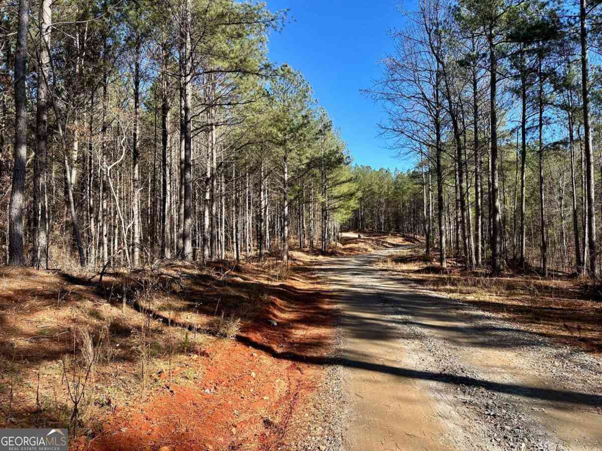Vacant Land For Sale - 1107 Larmon Forks Road<br/> Lumpkin County, Dahlonega, GA 30533