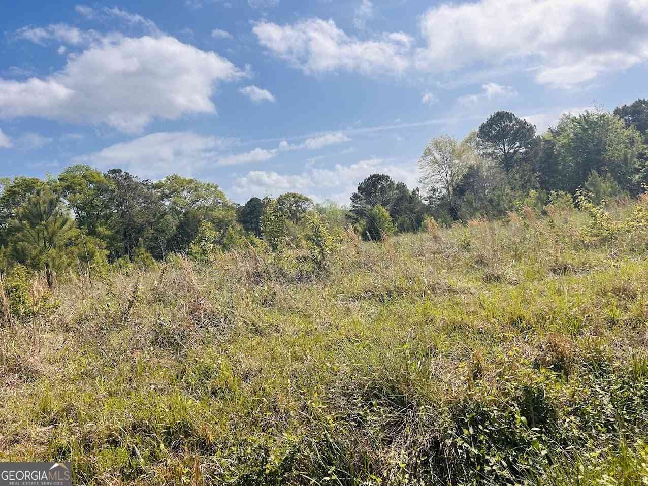 Vacant Land For Sale - Collier Road #TRACT 1<br/> Concord, GA 30206