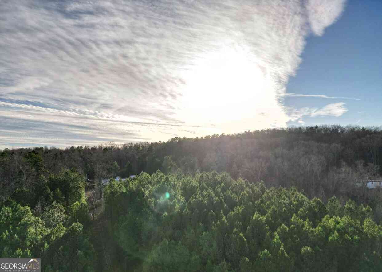 Vacant Land For Sale - 750 Flowery Branch Road<br/> Kingston, GA 30145