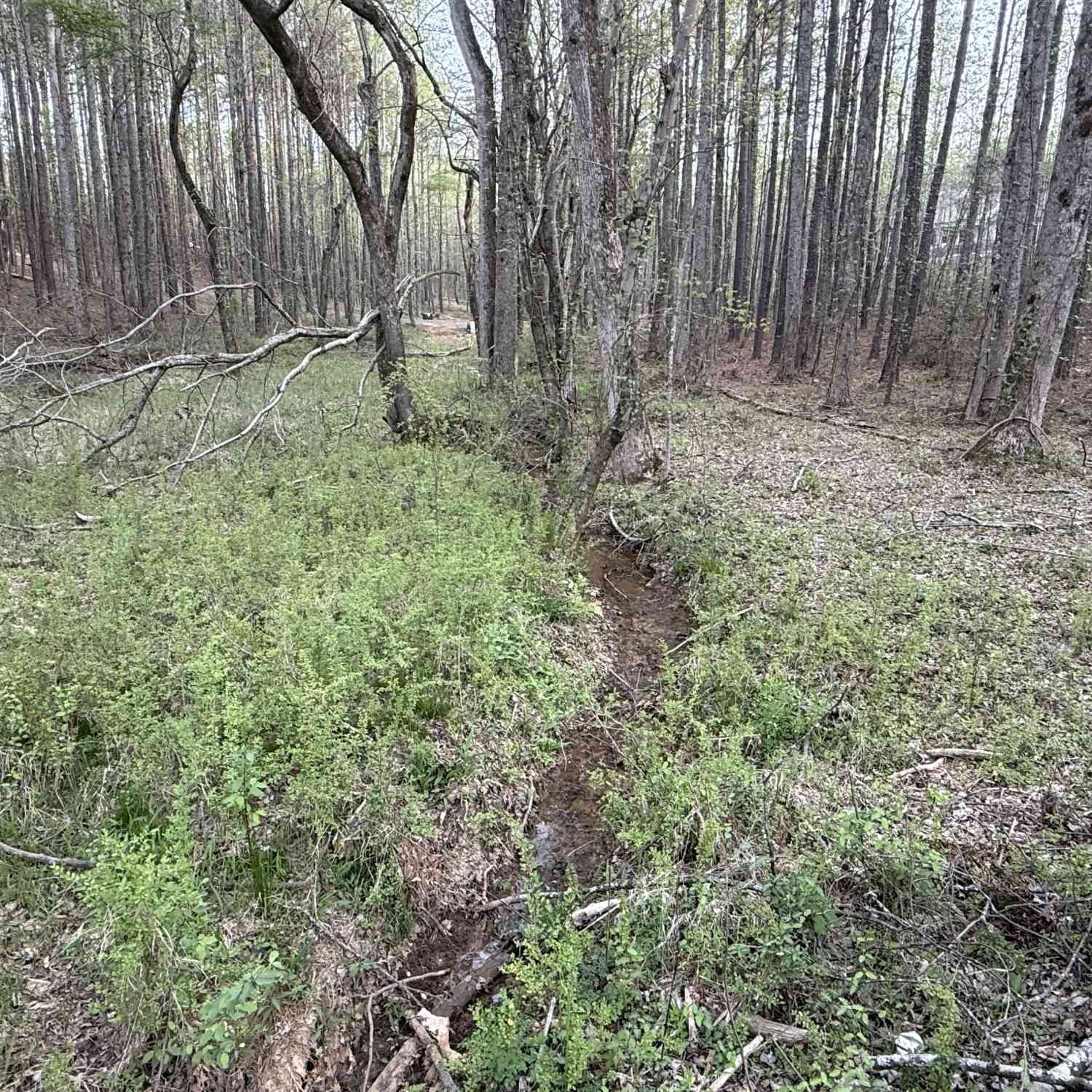Vacant Land For Sale - Henderson Mountain Road<br/> Fairmount, GA 30139