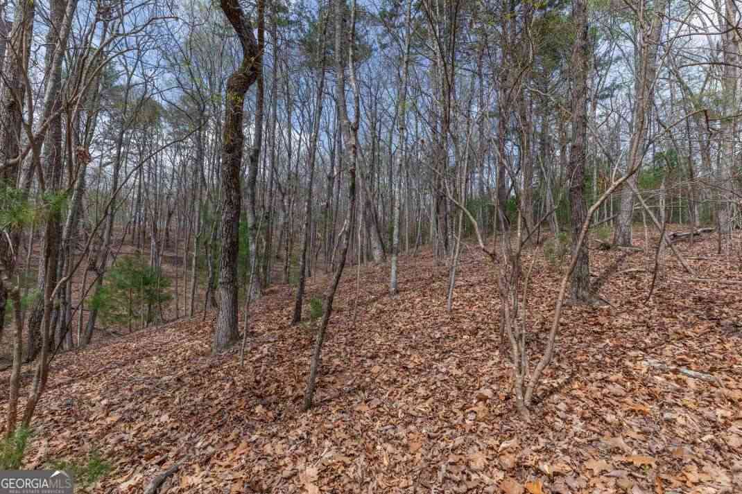 Vacant Land For Sale - LOT 7A Glenridge Way<br/> Ellijay, GA 30540