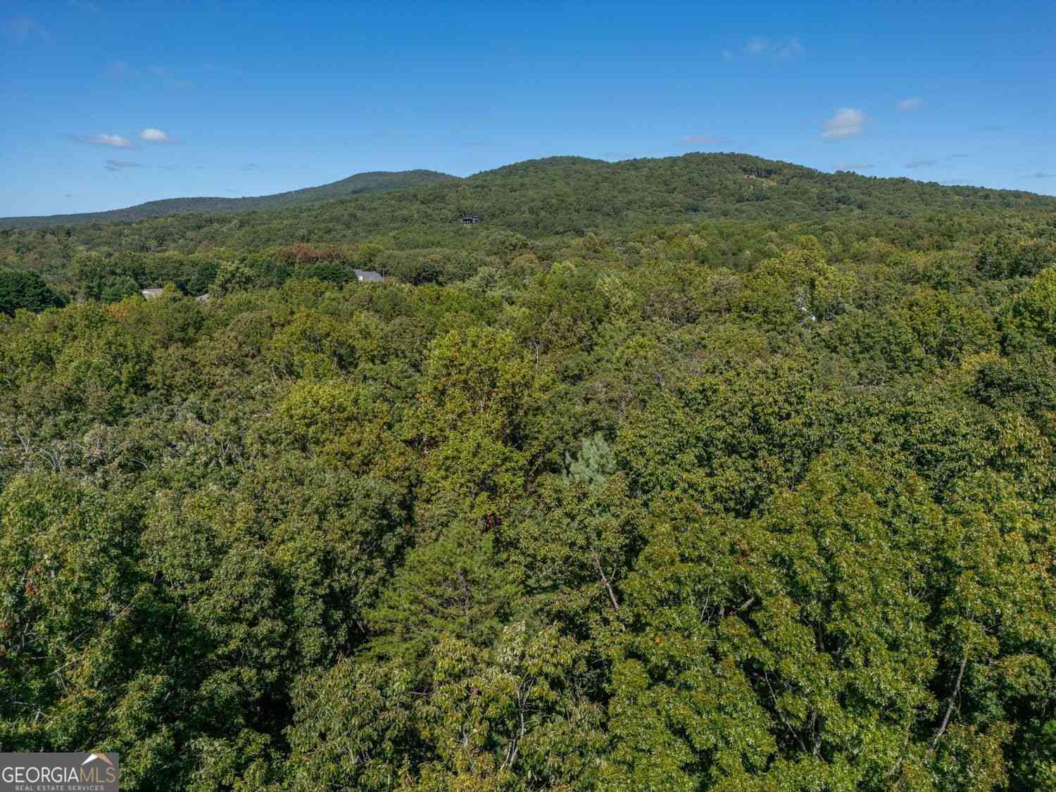 Vacant Land For Sale - Plum Lane<br/> Clarkesville, GA 30523
